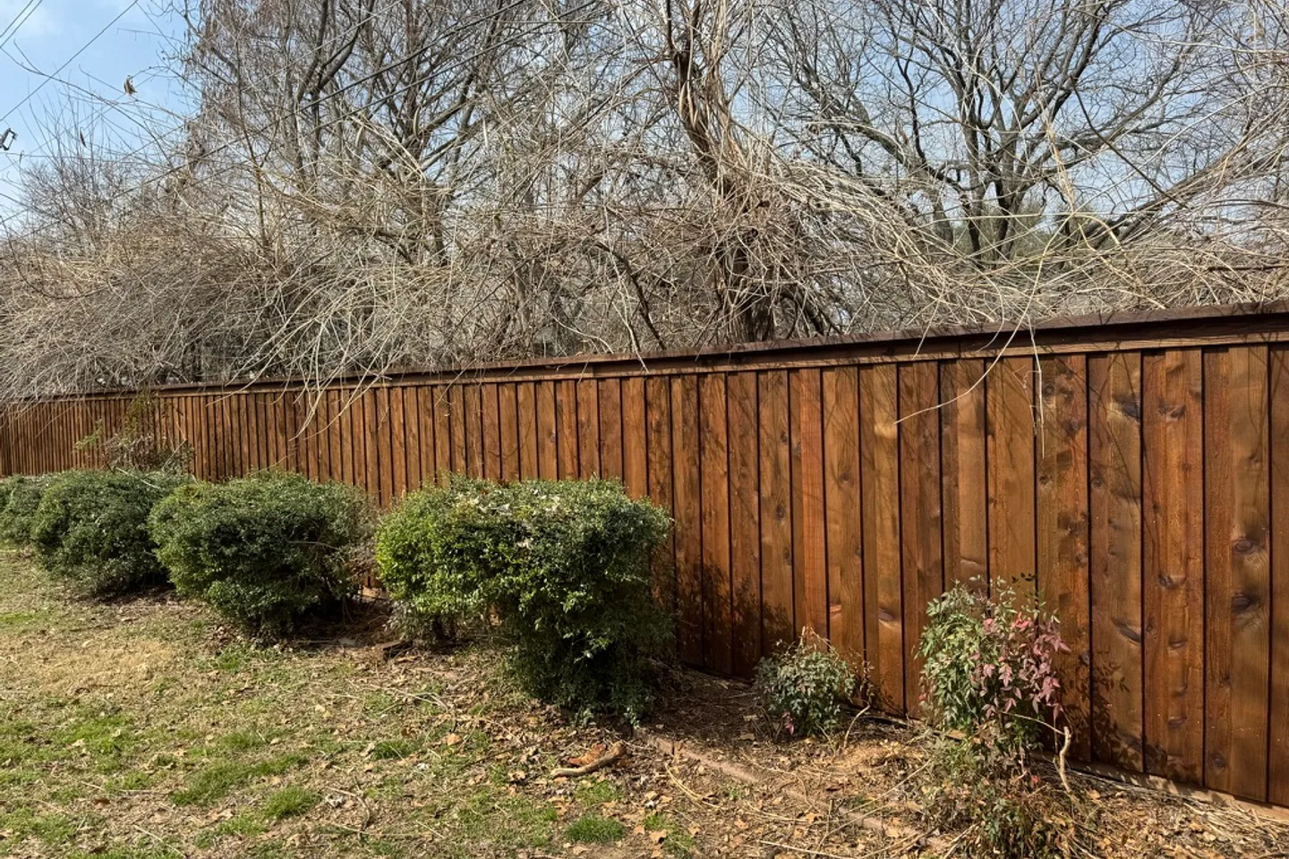 Stained wood privacy fence beside a landscaped property